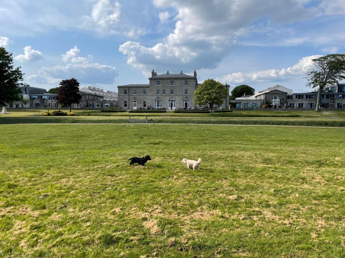 3 Bed- The Pavilion By Pureserviced Plymouth Exterior foto